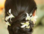 Maui Wedding Stylist | Beth Clapper | 2